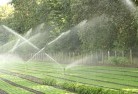 Cuttageelandscaping-water-management-and-drainage-17.jpg; ?>